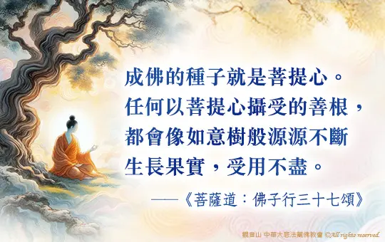 菩薩道：佛子行三十七頌