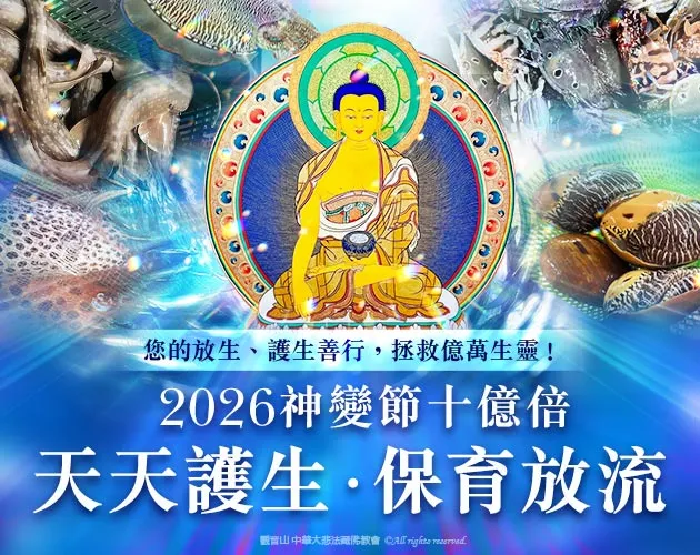 天天護生 保育放流