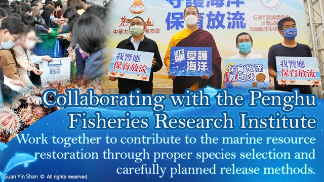 Collaborating with the Penghu Fisheries Research Institute, and work together to contribute to the marine resource restoration through proper species selection and carefully planned release methods.