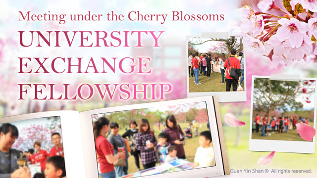 University Exchange Fellowship