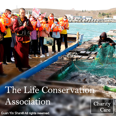 To Establish of the Life Conservation Association