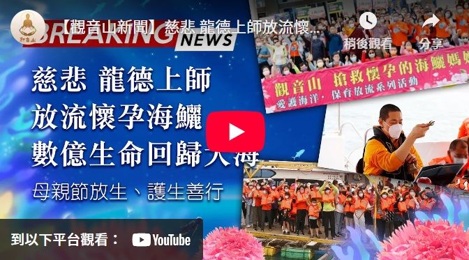 放流護生，功德不可思議