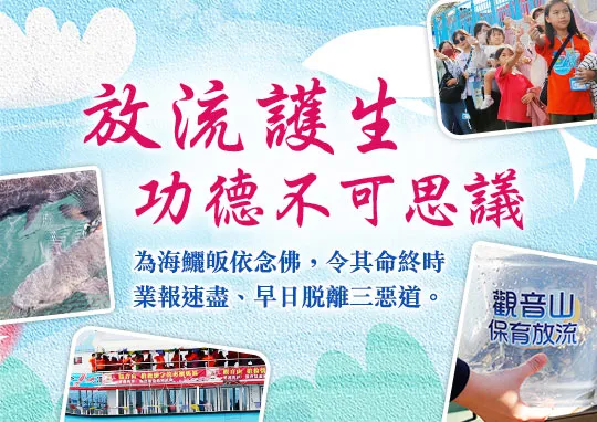 放流護生，功德不可思議