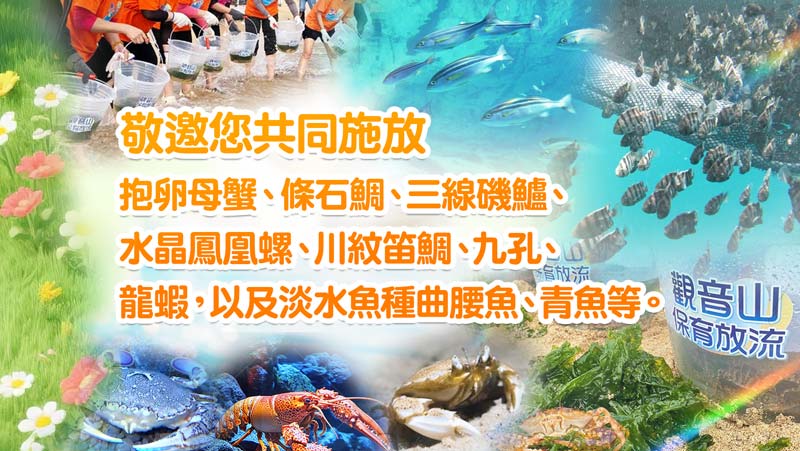 觀音山 保育放流 主要放流物種