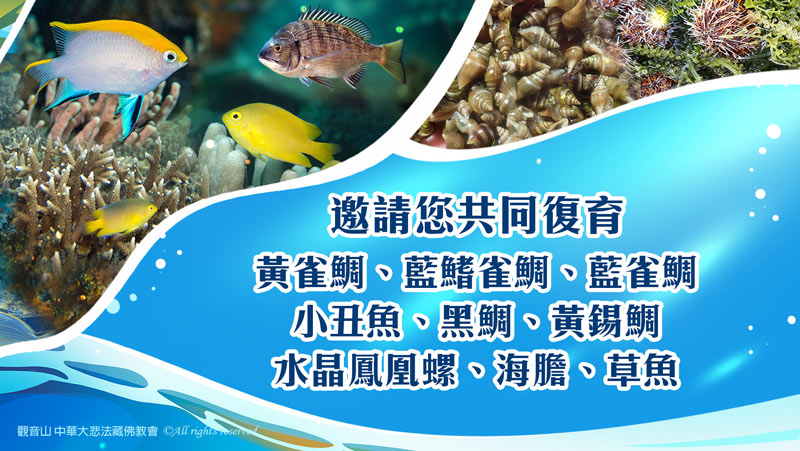 觀音山|中華大悲法藏佛教會|保育放流|保護海洋生態|澎湖水試所|海洋復育|海漁基金會|放生|護生|龍德嚴淨仁波切|龍德上師|確吉蔣稱金剛上師|臺灣薩迦寺|台灣薩迦寺